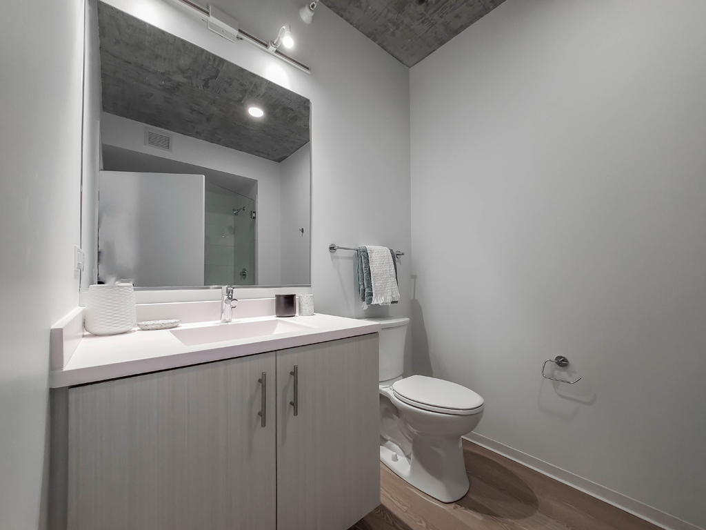 South Loop 1-Bedroom Apartment Bathroom