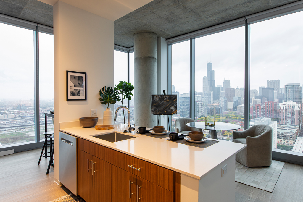 South Loop Apartment Kitchen