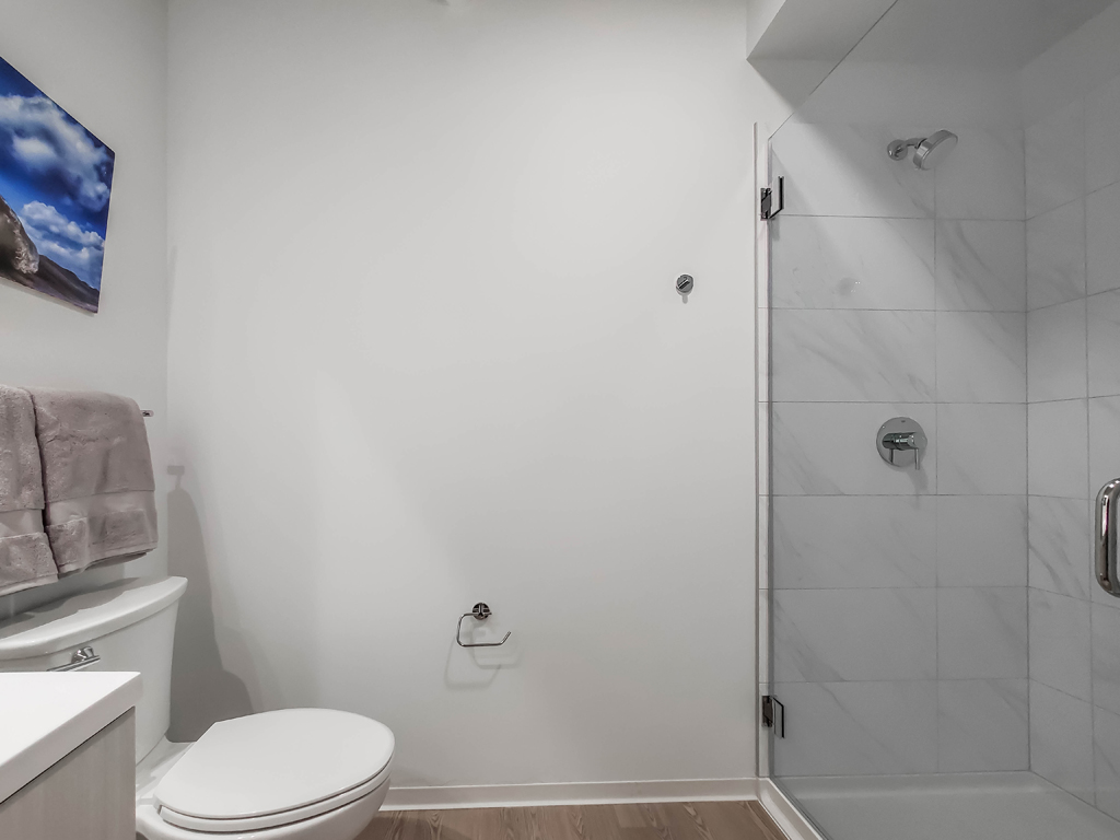 South Loop 1-Bedroom Den Apartment Bathroom